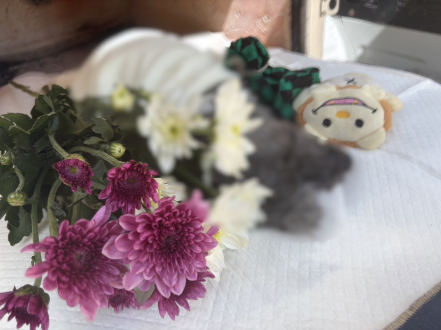 大野市でトイプードルちゃんをお気に入りのぬいぐるみを添えてお見送りしました